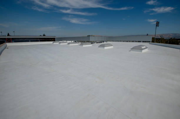 Best Roof Maintenance and Cleaning  in Isla Vista, CA