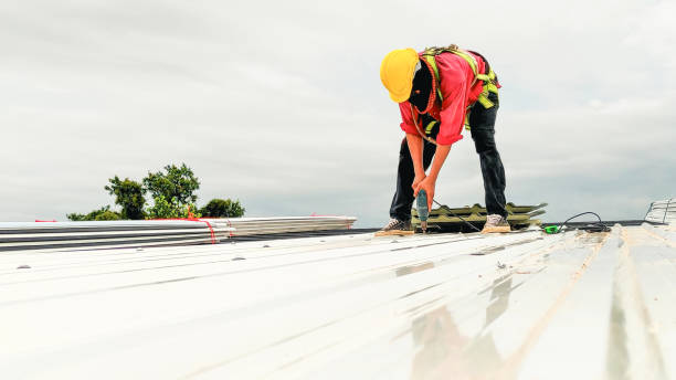 Best Metal Roofing Installation  in Isla Vista, CA