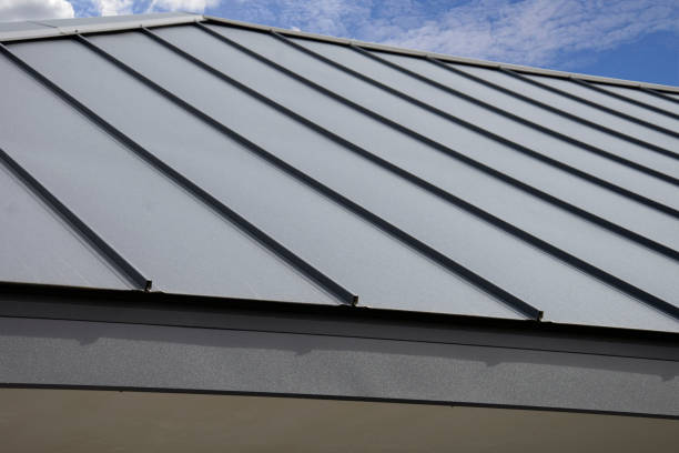 Best Roof Coating and Sealing  in Isla Vista, CA