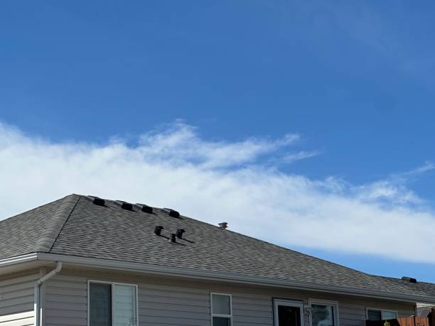 Best Roof Installation  in Isla Vista, CA